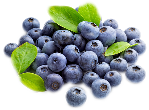 BlueBerry